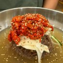 신별미코다리