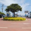 장흥읍사무소 이미지