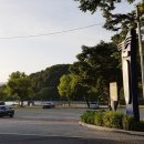 카페그꽃 이미지