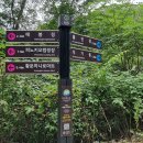 치악산둘레길 6코스 매봉산자락길 이미지
