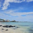 미니밀 | 제주신라 모닝밀 2종 비교 후기 (미니버거/야채샌드위치)