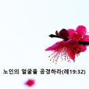 노인의 얼굴을 공경하라(레19:32) 이미지