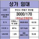 연제구-197 네이버블로그