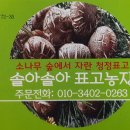 솔아농장 Daum카페