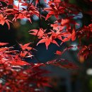 어느멋진날에1 이미지