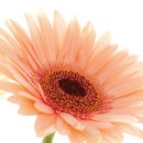 정화빌딩 이미지