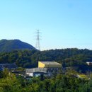 부평공원 이미지