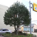 청하면농업인상담소 이미지