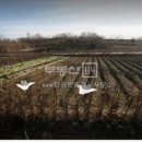 New탑공인중개사사무소 이미지