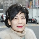 어재 경로당 Daum카페