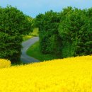 영화백양 이미지