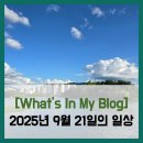 삼양운수 | [블로그 챌린지] What&#39;s In My Blog - 2025년 9월 21일의 일상