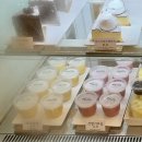송현리 | [숲속의 빈터] 정원 베이커리 대형 카페ㅣ양양 속초 맛집 추천