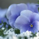 노래교실교실 이미지