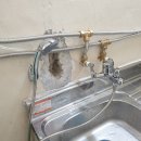 고양이미용연구소 이미지