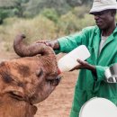 몽몽하나 이미지