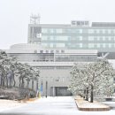 317 이미지