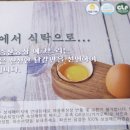 에그트리 이미지