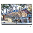 영주 소수서원 이미지