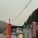 시골영양탕 | [양평 밥집] “활거리영양탕” 인생 첫 염소탕 후기 내돈내산