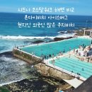 브론테하우스 | 시드니 코스탈워크 해변 트래킹 현지인 많은 쿠지비치 브론테비치 주차