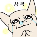 바른커피연구소 이미지