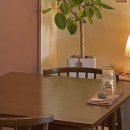 마타아시타 이미지