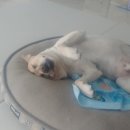 신화오토밋션 이미지