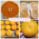 더비타팜