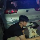 오토오아시스안양