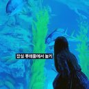 김여사몰 네이버블로그