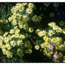 김진영행정사사무소 이미지