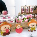 디자인플릭 | 복숭아 향기 가득한 오플릭 팝업스토어 후기 - 감성 포토존 & 럭키드로우까지!