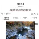 용주목장 이미지