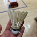 요요노래방 | #53. 마운자로 2.5 세번째주