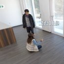 원하우스 이미지
