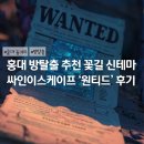 싸인스토리 | 홍대 방탈출 추천 꽃길 신테마 싸인이스케이프 원티드 쫄 후기 + 할인