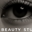 둔산중로-3 이미지