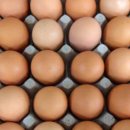 삼성동-39 이미지