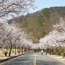 소요산관광지 이미지