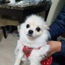 신남로 이미지
