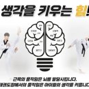 고려대 명문 태권도 이미지