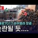 바퀴벌레 넘친다는 서울로7017간 유튜버가 발견한것 이미지