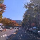 구암동592 | 식객허영만의백반기행대구 화개장터가마솥국밥 마음따뜻해지는 맛집 (순해집손칼국수,소문난부자돼지...