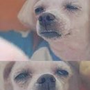 놀자