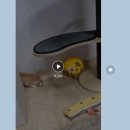 학익동물병원 이미지