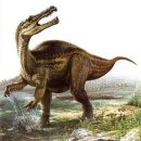 공룡의 모습 관련 변천사 이미지