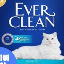 크린에버 이미지