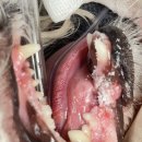 사직동물의료센터 이미지