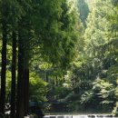 장태산휴양림 이미지